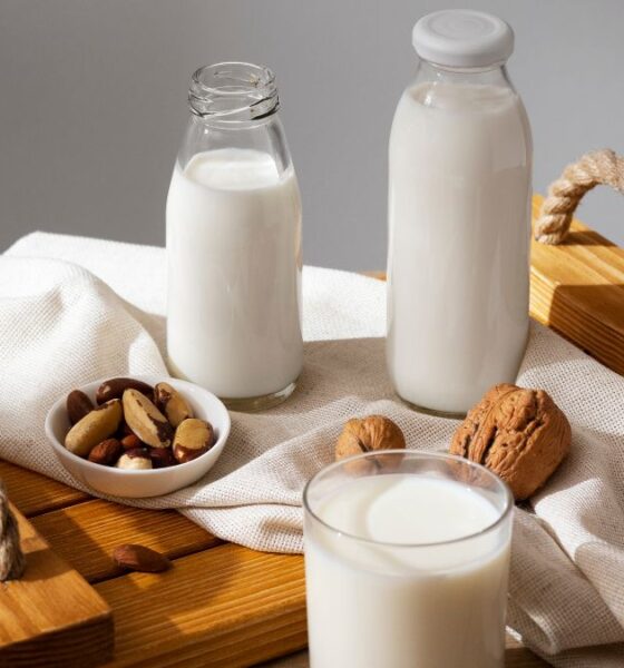 WellHealth Organic Buffalo Milk