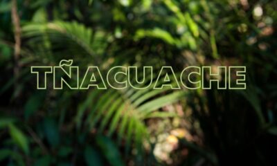 tñacuache