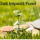 white oak impact fund