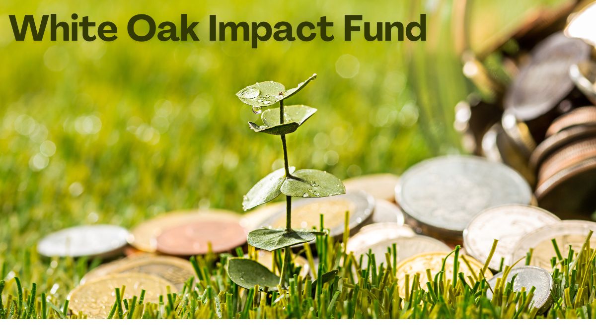 white oak impact fund