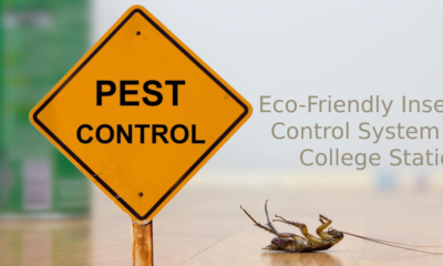 Pest Control