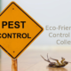 Pest Control