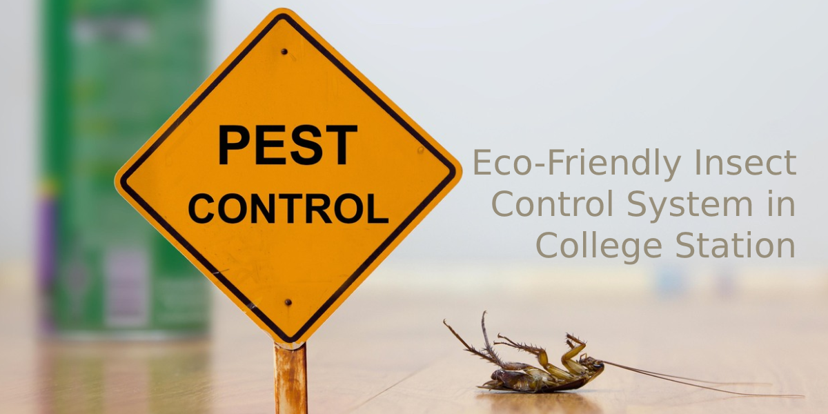 Pest Control