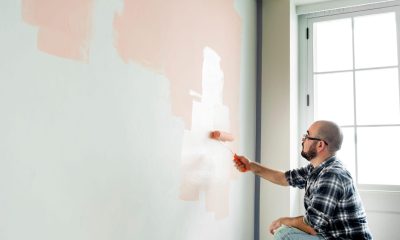 Commercial Painter in Brisbane
