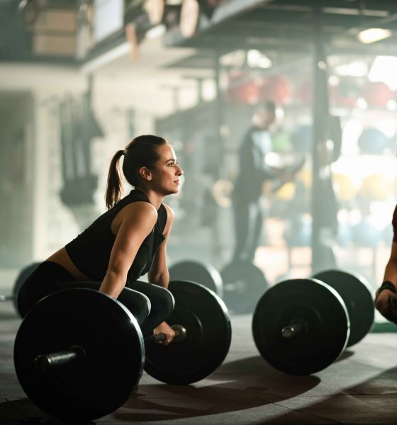 Gym in mornington