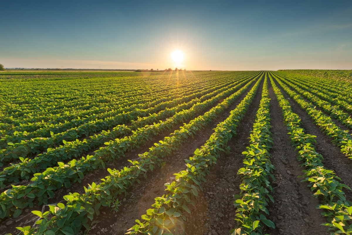 crop protection solutions